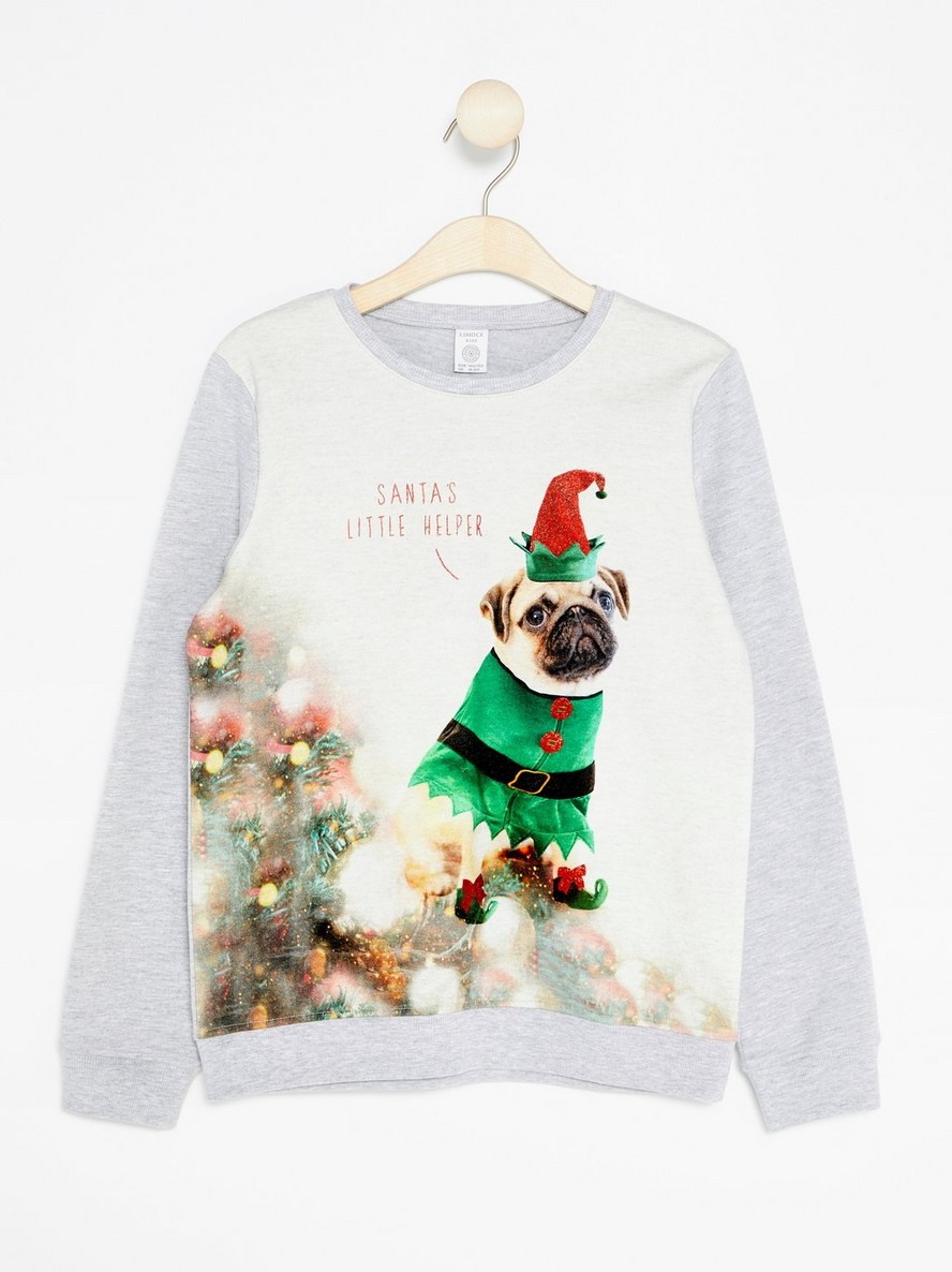 Sweatshirt with Dog Print - 7807979-7196