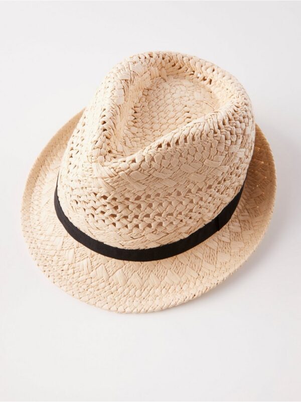 Fedora - 8154179-2011