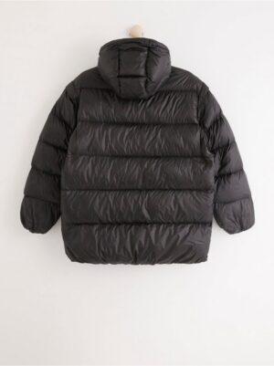Padded jacket in recycled down - 8168766-80