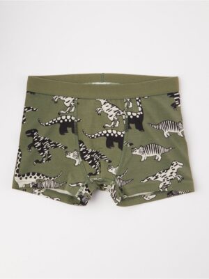 Boxer shorts with dinosaurs - 8218930-7588