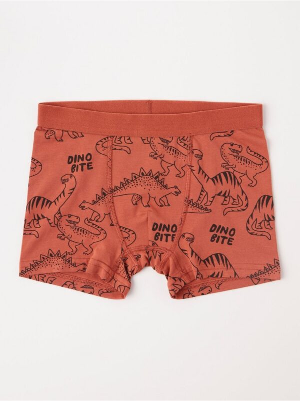 Boxer shorts with dinosaurs - 8247665-7884