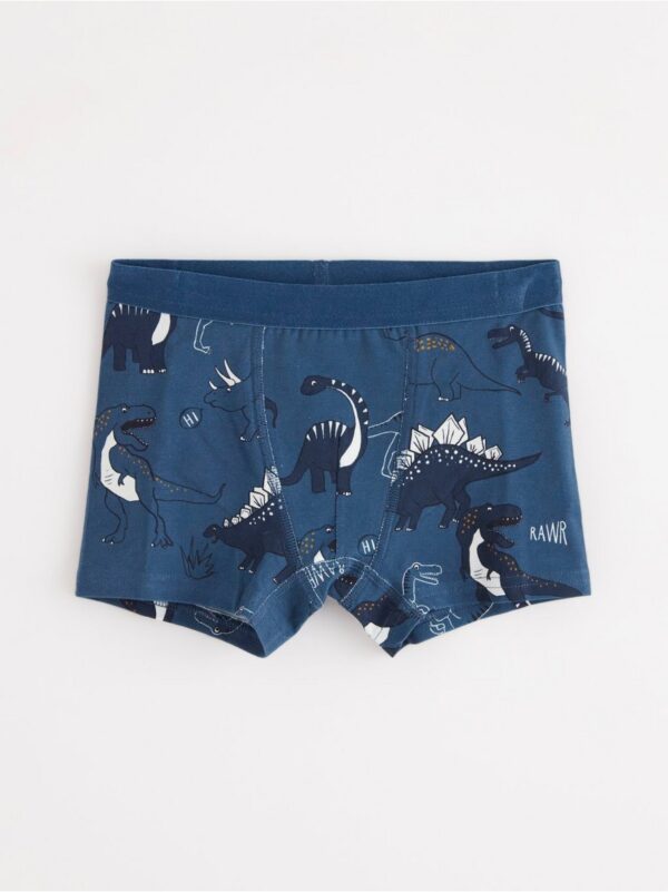 Boxer shorts with dinosaurs - 8285876-6465