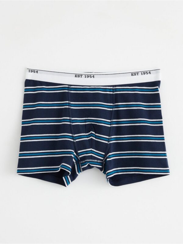 Boxer shorts with stripes - 8336707-2150