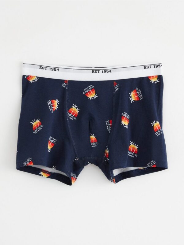 Boxer shorts with surf print - 8336708-2150