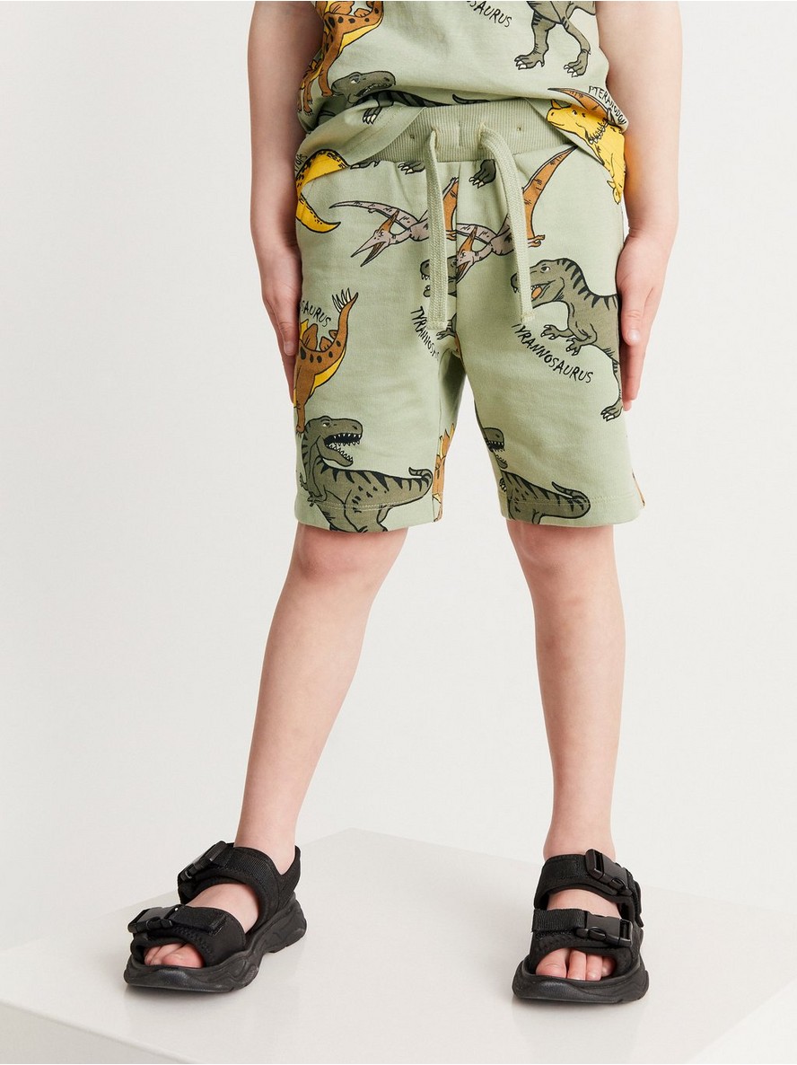 Sorts – Soft shorts with dinosaurs