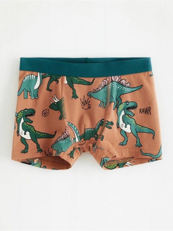 Boxer shorts with dinosaurs - 8391304-9771