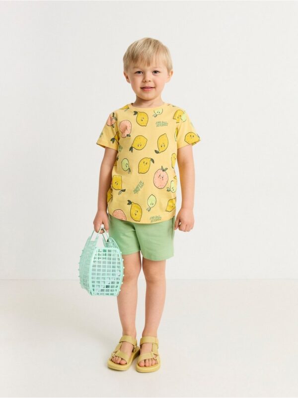 Short sleeve top with citrus fruits - 8392576-4087