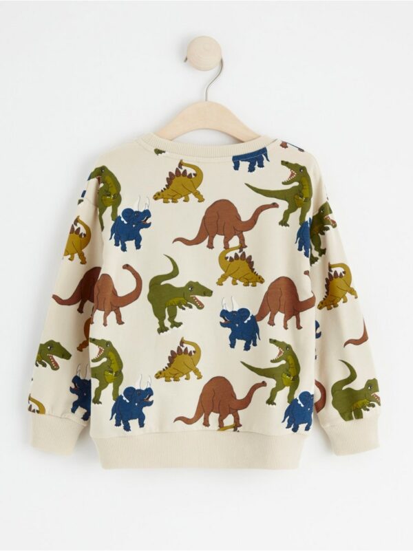 Sweatshirt with dinosaurs and brushed inside - 8401348-8545