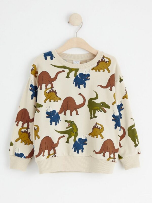 Sweatshirt with dinosaurs and brushed inside - 8401348-8545