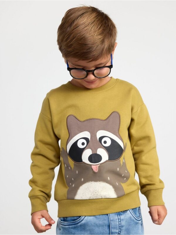 Sweatshirt with raccoon and brushed inside - 8443224-5287