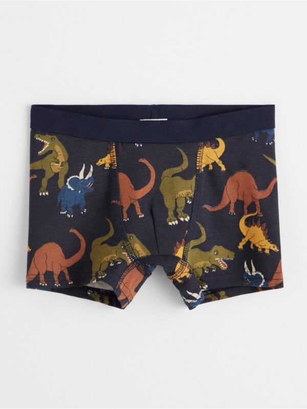 Boxer shorts with dinosaurs - 8448195-2521