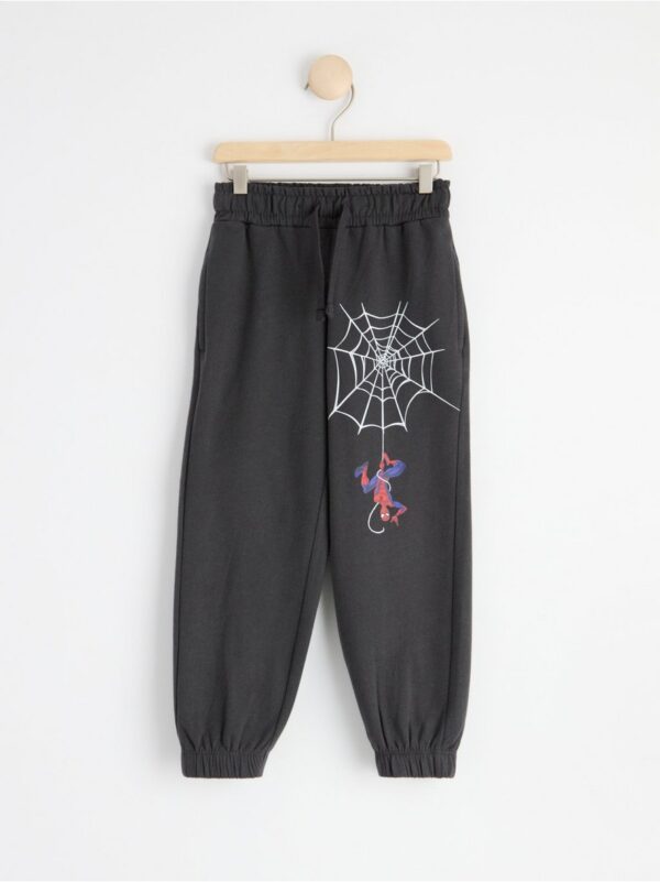 Trousers with Spiderman and brushed inside - 8453963-7161