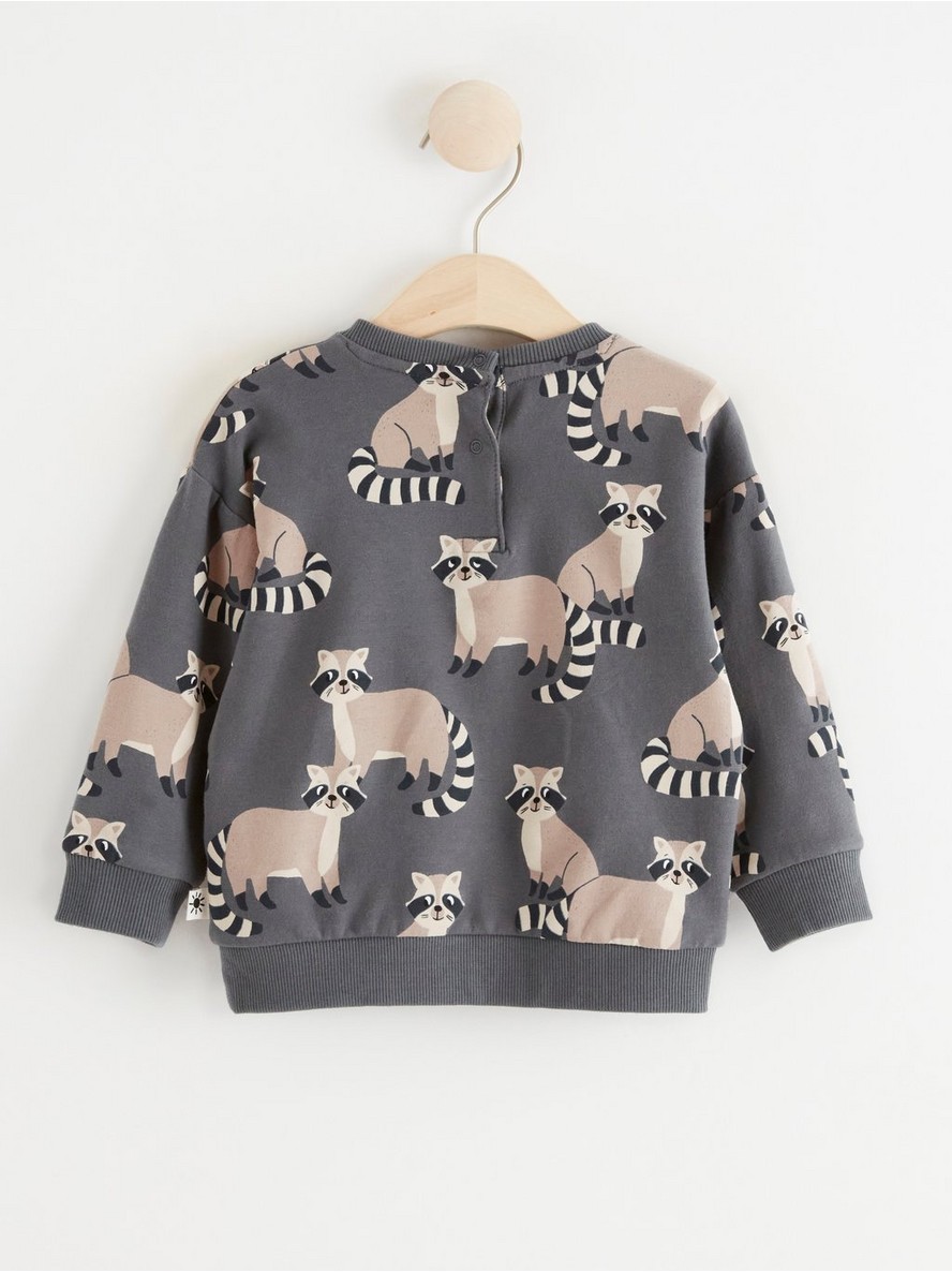 Sweatshirt with brushed inside and raccoons - 8460634-7486