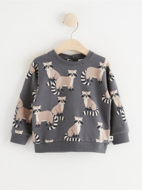 Sweatshirt with brushed inside and raccoons - 8460634-7486