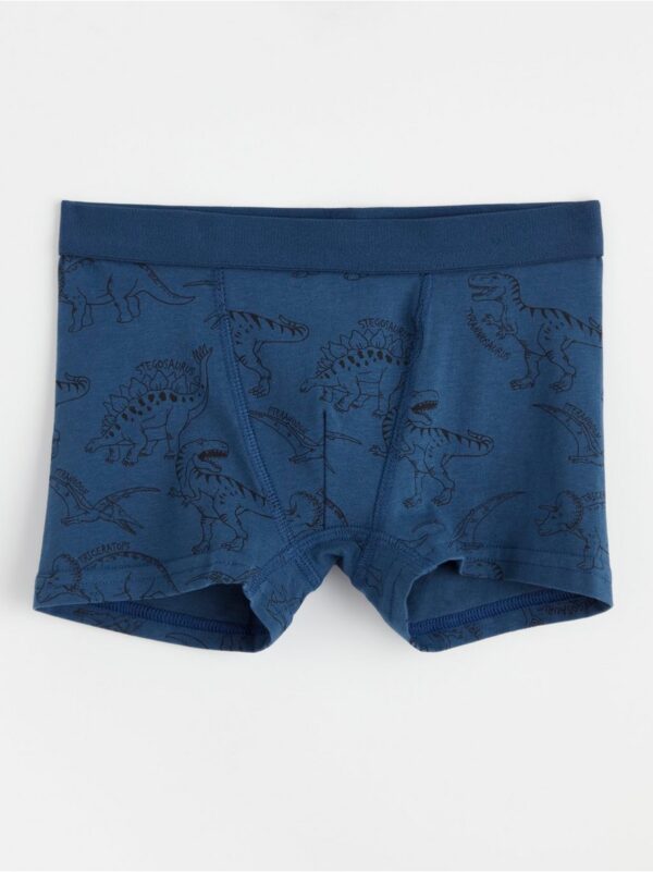 Boxer shorts with dinosaurs - 8489650-6841