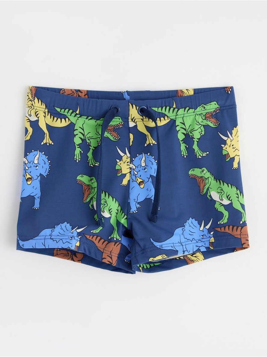Sorts – Swim trunks with dinosaurs