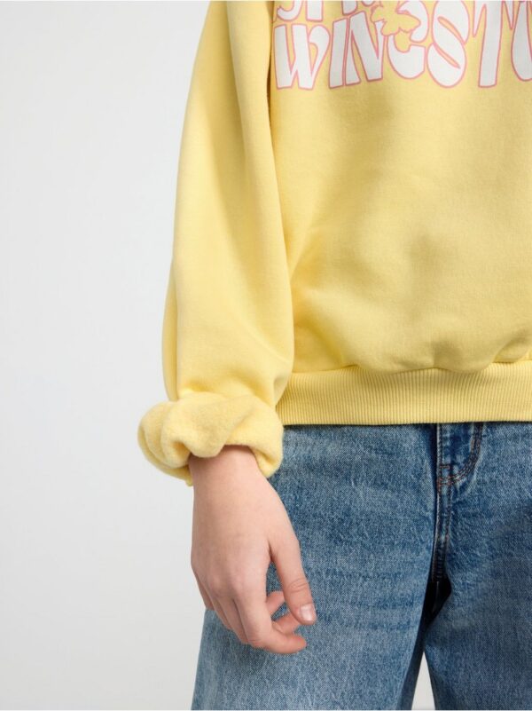 Sweatshirt with brushed inside and print - 8527377-6730