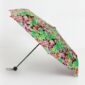 Umbrella - 8562916-80