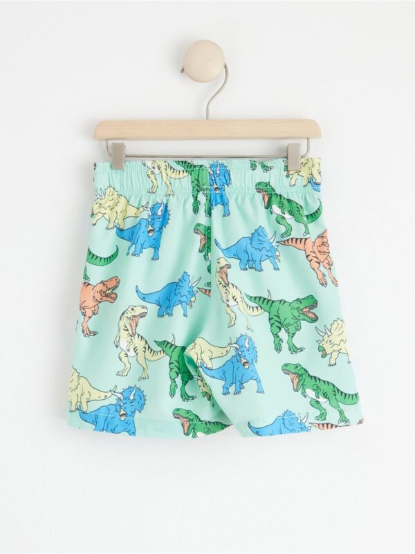 Swim shorts with dinosaurs - 8517843-132