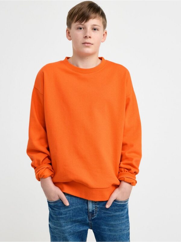 Sweatshirt with brushed inside - 8576193-9610