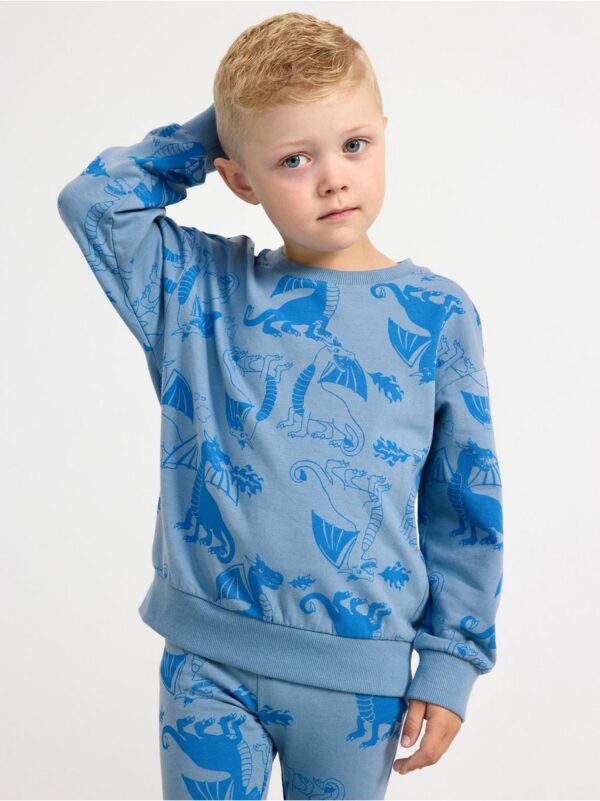 Sweatshirt brushed inside with dragons - 8611262-7243