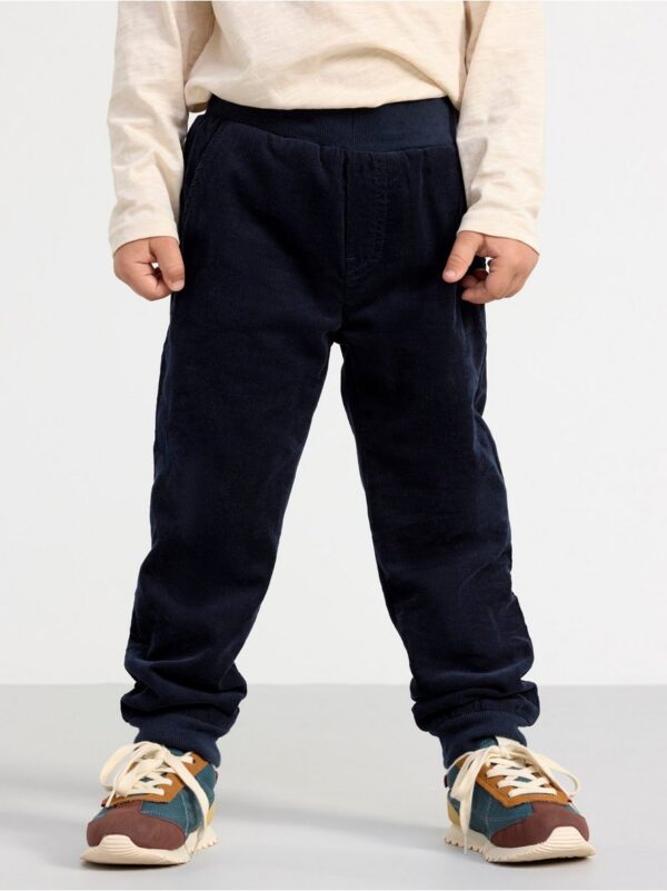 Lined corduroy trousers - 8604781-2521