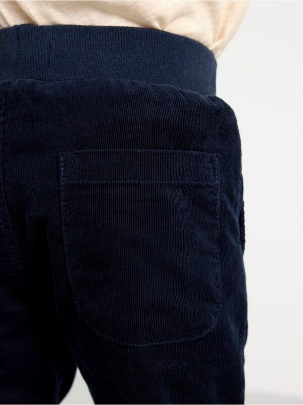 Lined corduroy trousers - 8604781-2521