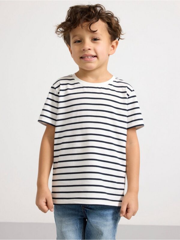 Striped T-shirt - 3000823-2521