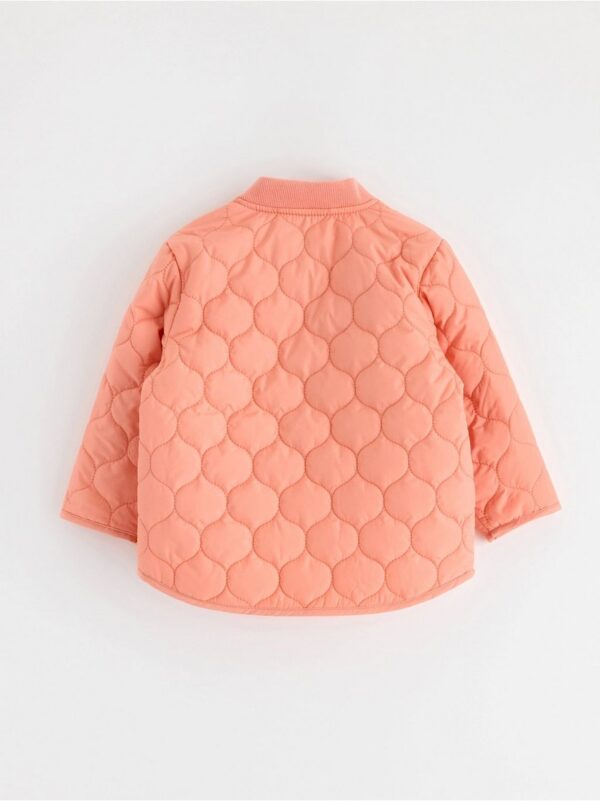 Quilted jacket - 8649793-8414