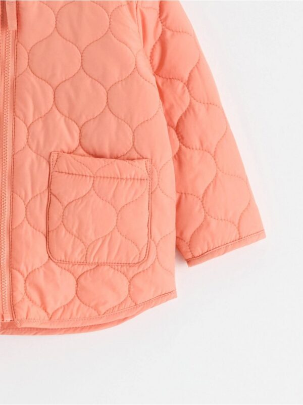 Quilted jacket - 8649793-8414