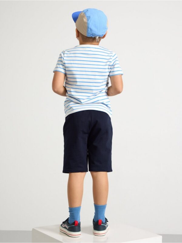 Shorts - 3000828-2521