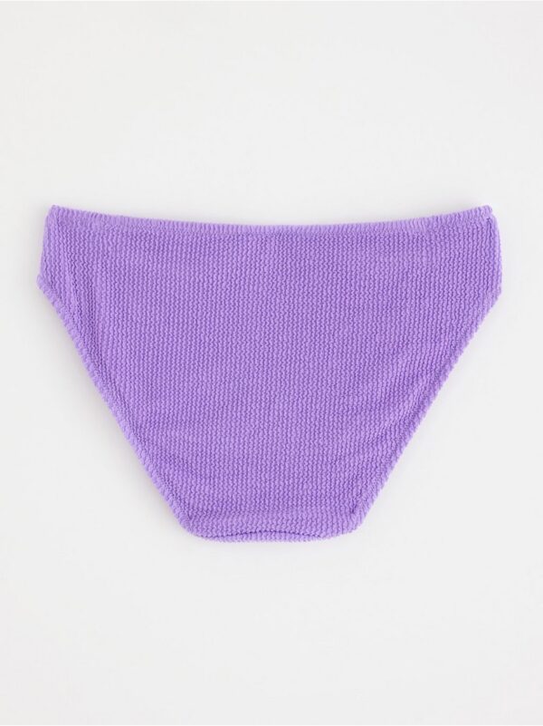 Crinkled Bikini bottom - 8693217-5822