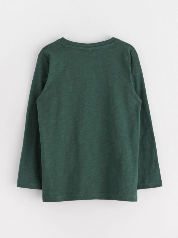 Long sleeved top - 3002116-8599