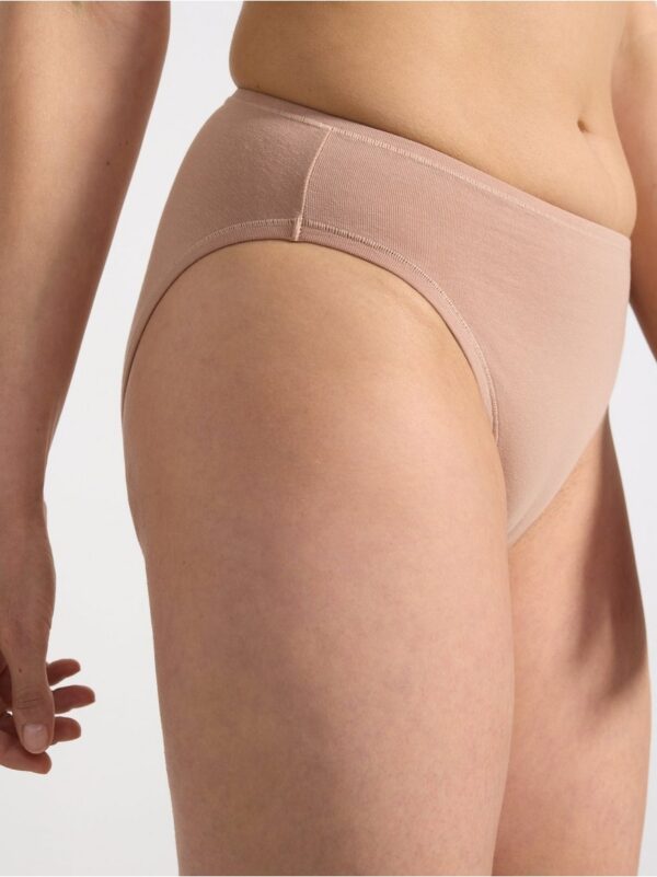 Bikini brief with high waist - 8667582-6793