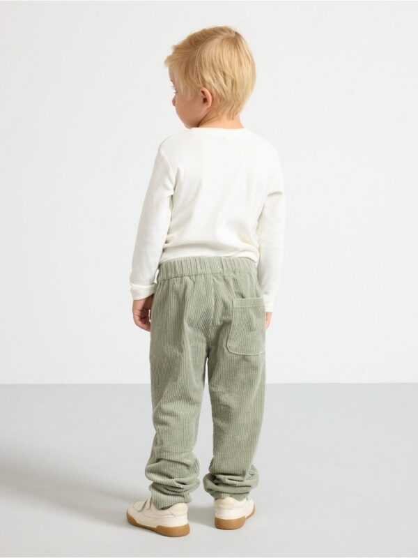 Trousers in corduroy - 3002221-3478