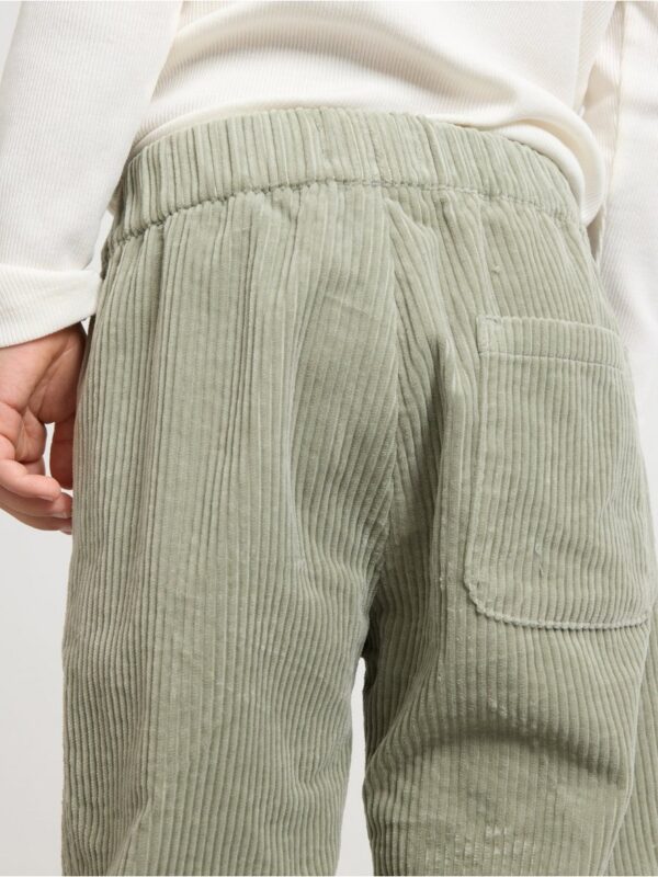 Trousers in corduroy - 3002221-3478