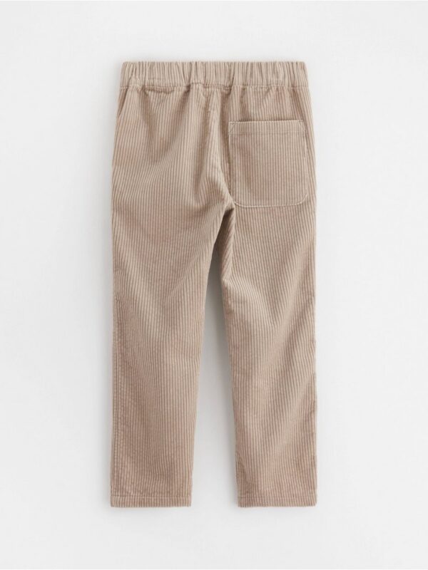 Trousers in corduroy - 3002221-6402