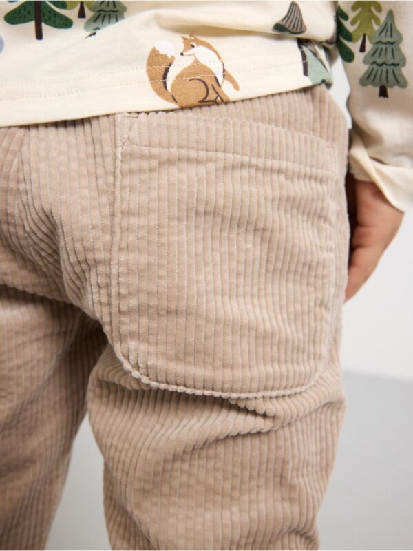 Trousers in corduroy - 3002221-6402