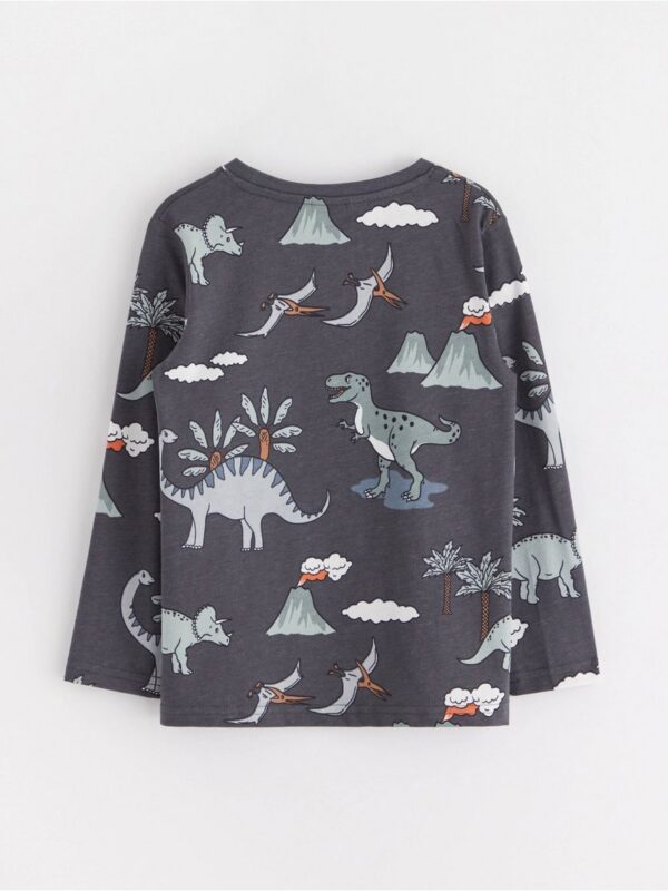 Long sleeved top - 3002229-8429
