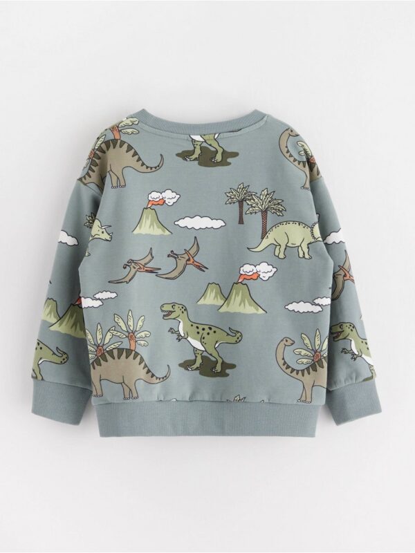 Sweatshirt with brushed inside - 3002230-8851