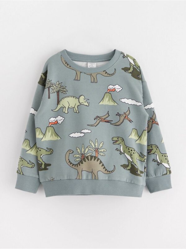 Sweatshirt with brushed inside - 3002230-8851