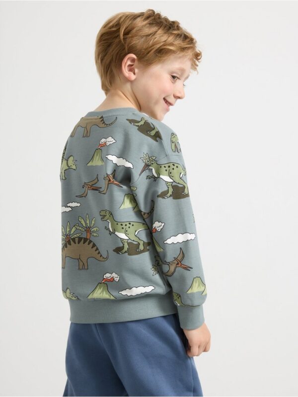Sweatshirt with brushed inside - 3002230-8851