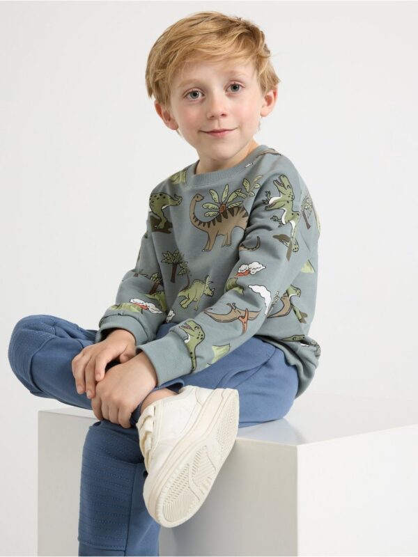 Sweatshirt with brushed inside - 3002230-8851