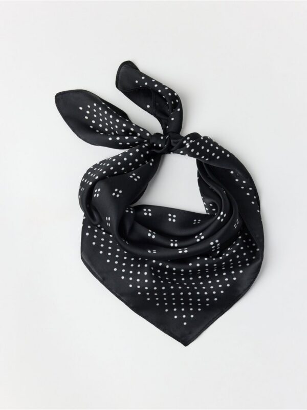 Scarf - 3002841-80