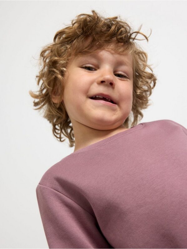 Sweatshirt with brushed inside - 8597413-9438