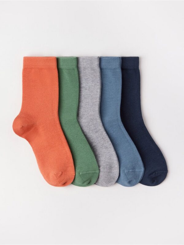 5-pack   Socks - 3000274-2480