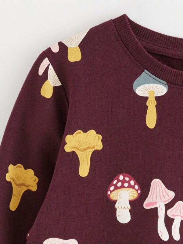 Sweatshirt with brushed inside - 3002292-7268
