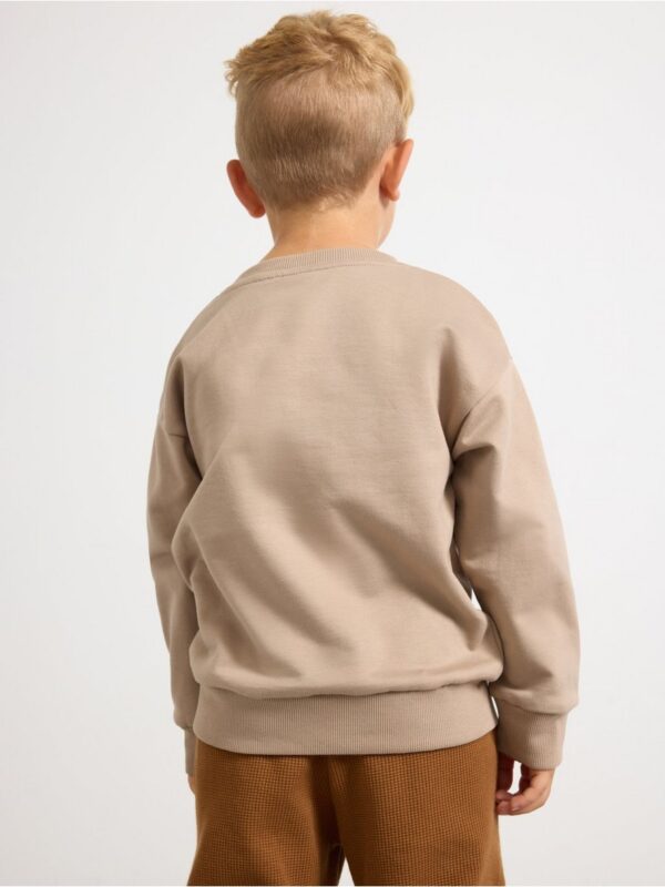 Sweatshirt with brushed inside - 3002306-6402
