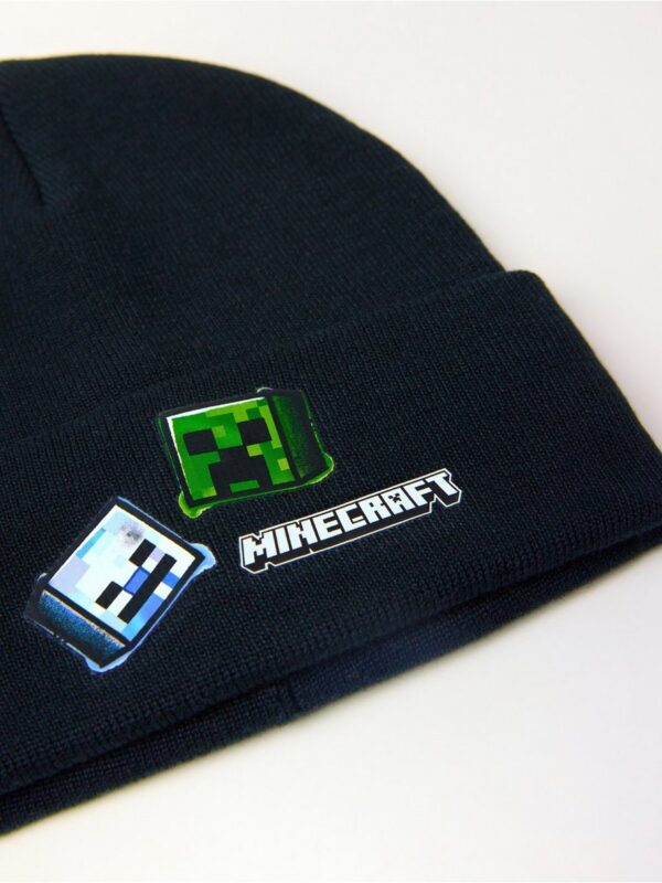 Minecraft  beanie - 3002443-80