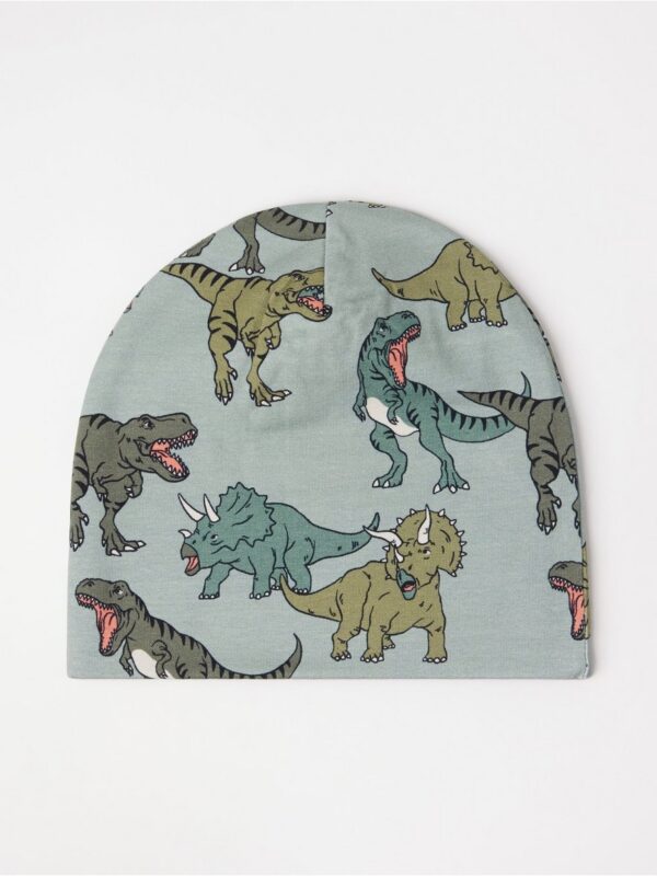 Beanie with lining - 3002528-2162